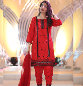 New Style Embroidered Painjabi